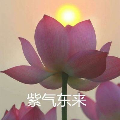 萌战三国魂360礼包版下载